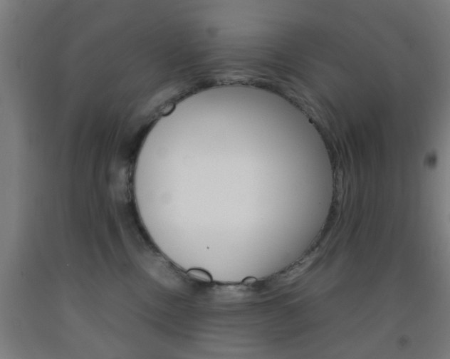 X0000093240378200709261535