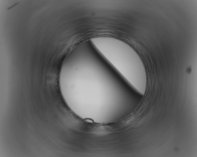 X0000093240379200709261535