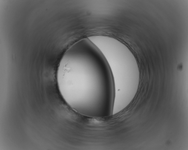 X0000093240380200709261535