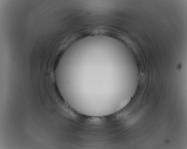 X0000093240381200709261535