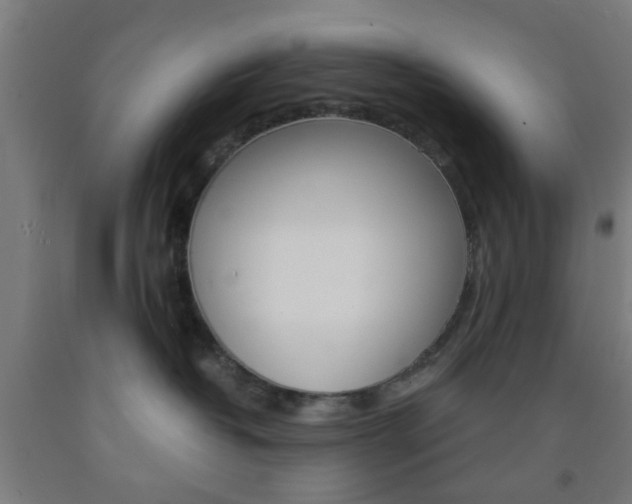 X0000093240382200709261535