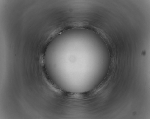 X0000093240383200709261535
