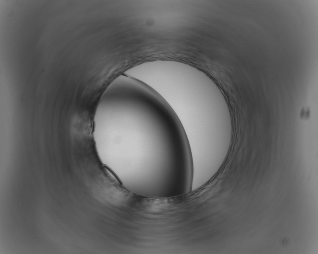 X0000093240384200709261535