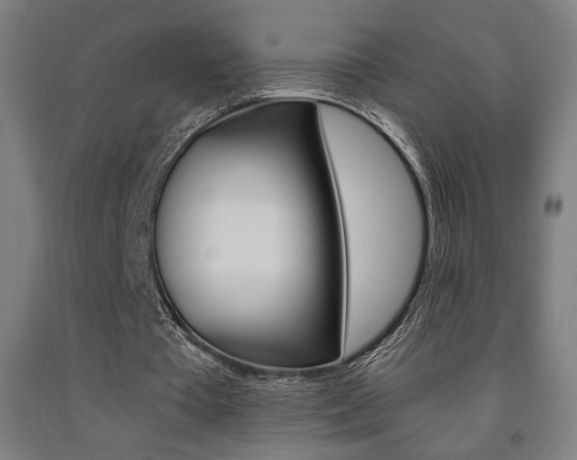 X0000093240385200709261534