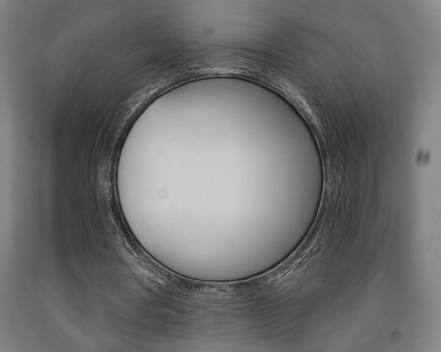 X0000093240386200709261534