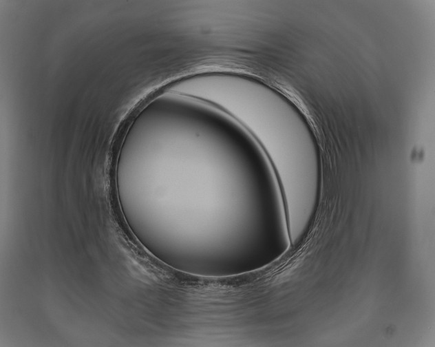 X0000093240387200709261534