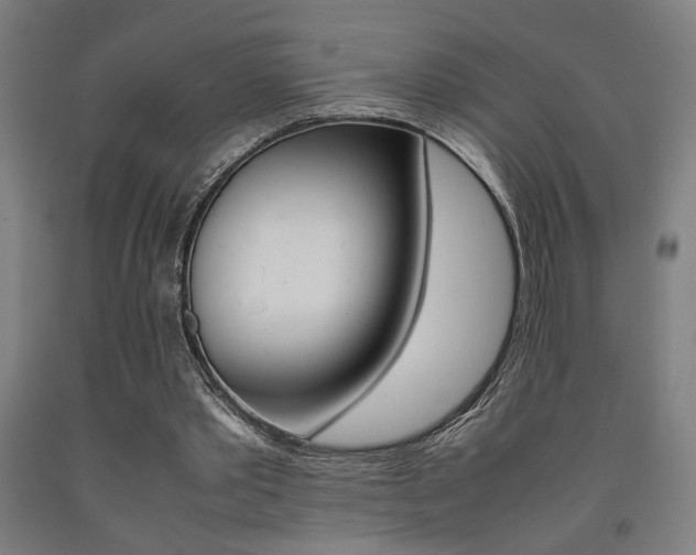 X0000093240389200709261534
