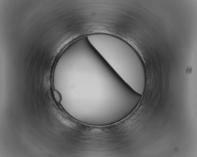 X0000093240390200709261534