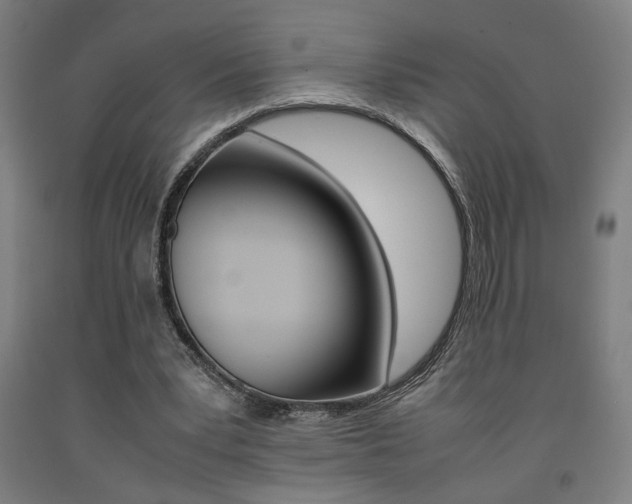 X0000093240391200709261534