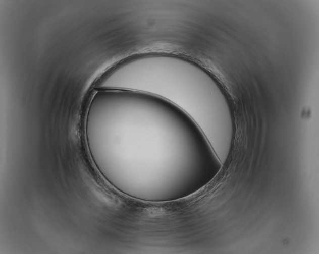 X0000093240392200709261534