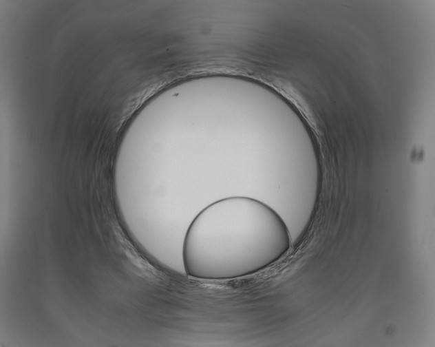 X0000093240393200709261534