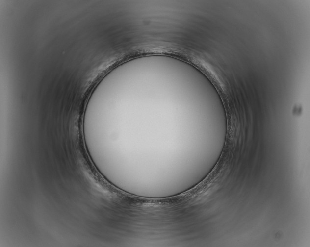 X0000093240394200709261534