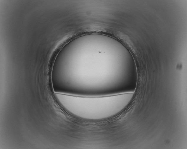 X0000093240395200709261534