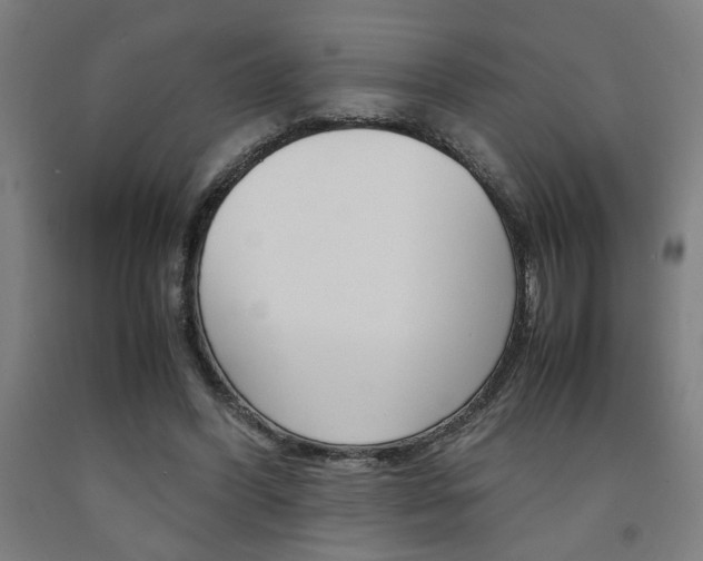 X0000093240396200709261534