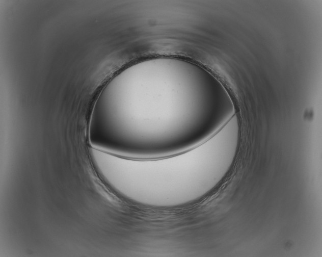 X0000093240397200709261534