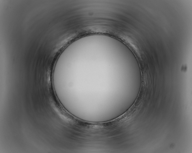 X0000093240398200709261534