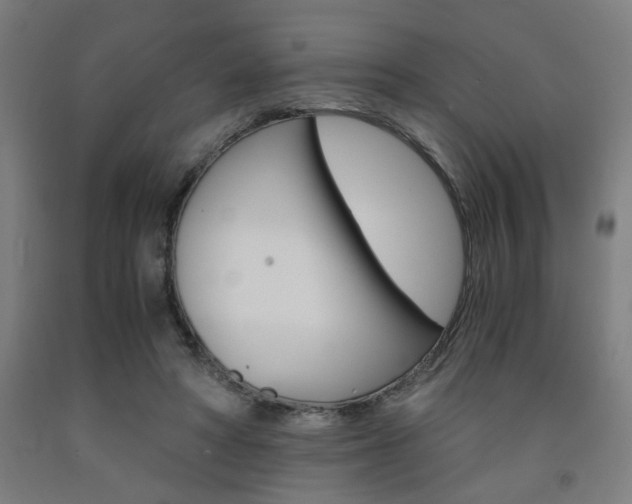 X0000093240402200709261534
