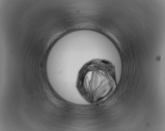 X0000093240403200709261534