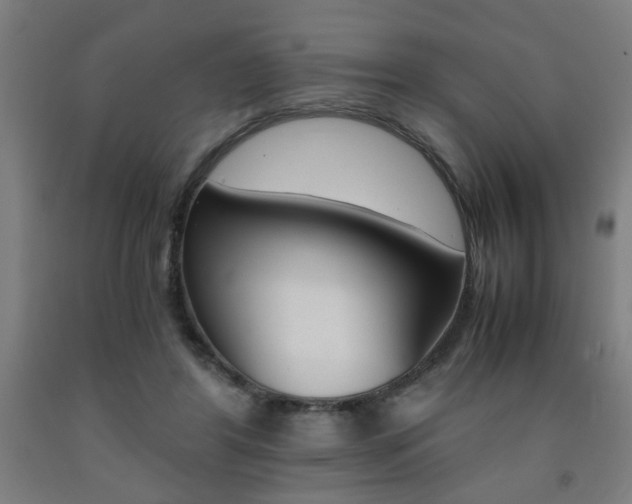 X0000093240404200709261534