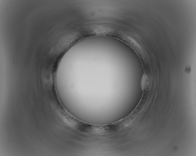 X0000093240405200709261534