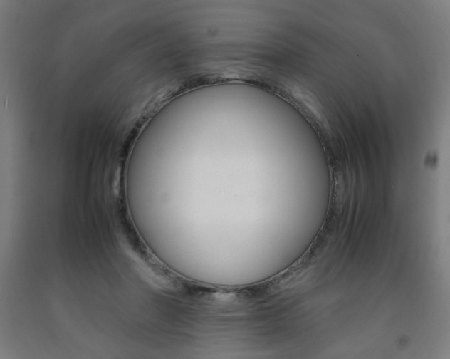 X0000093240406200709261534