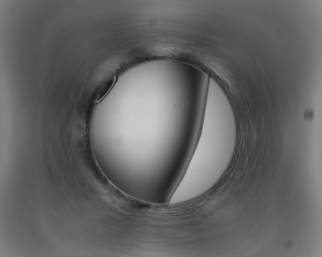 X0000093240407200709261534