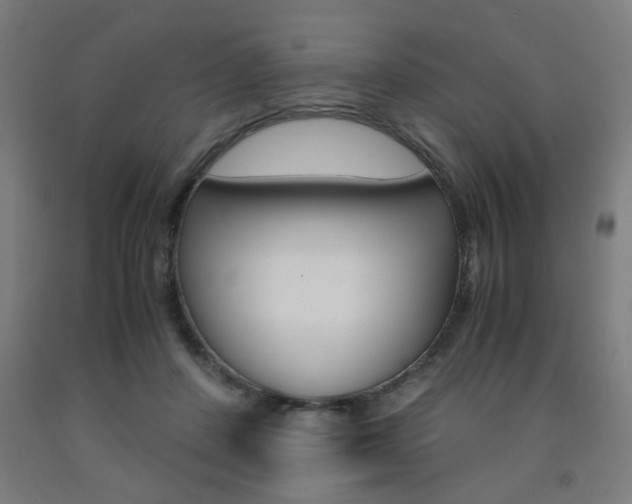 X0000093240408200709261534