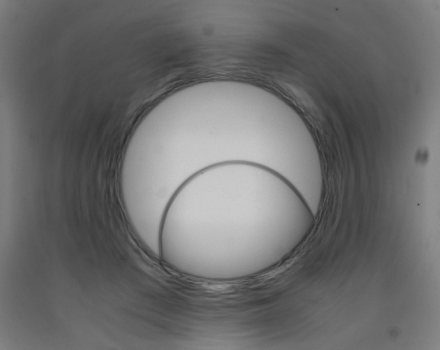 X0000093240409200709261534