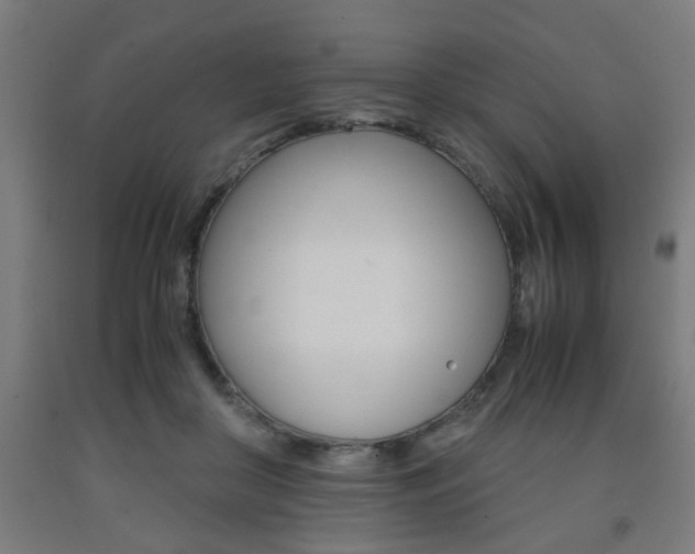 X0000093240410200709261534