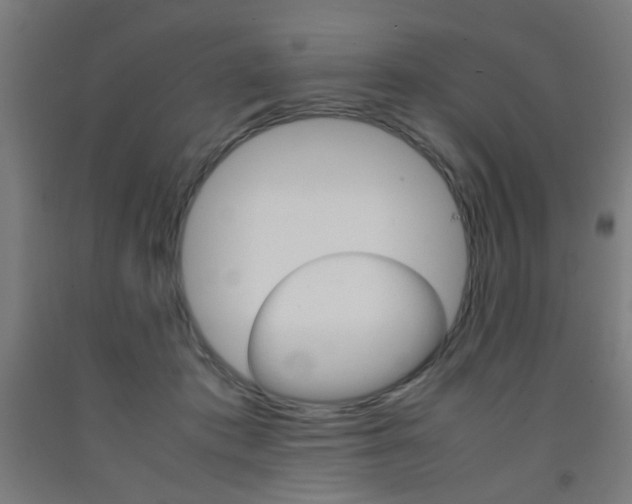 X0000093240413200709261534