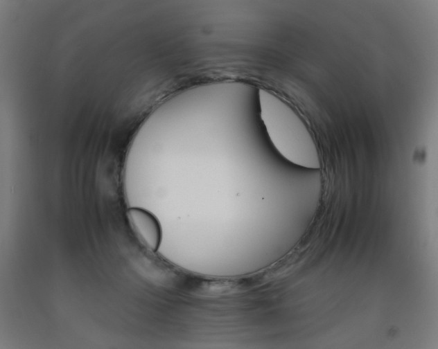 X0000093240414200709261534