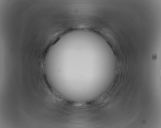 X0000093240415200709261534