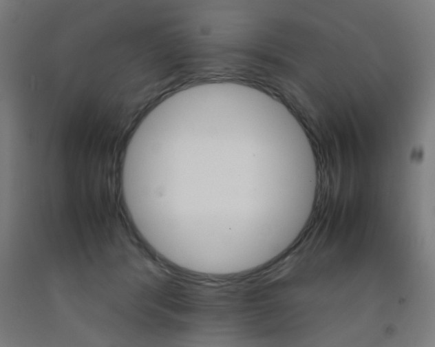 X0000093240416200709261534