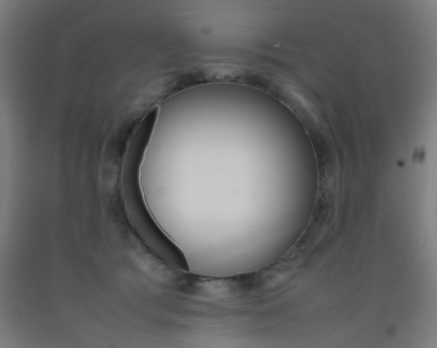 X0000093240417200709261534