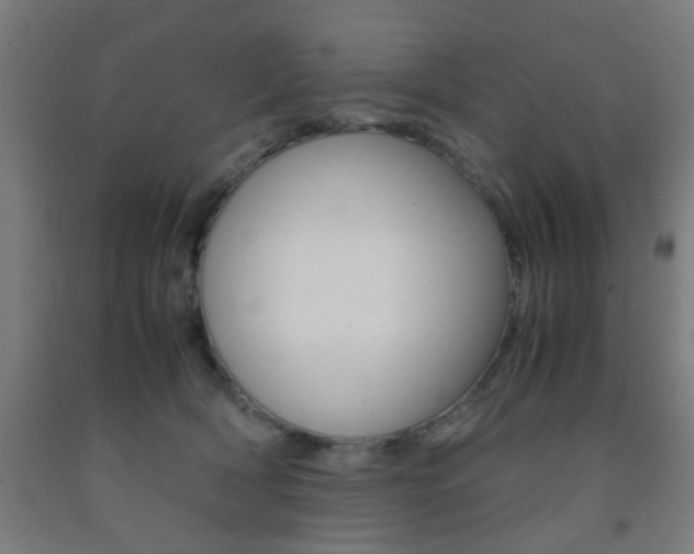 X0000093240418200709261534