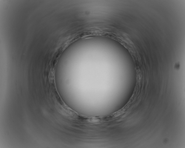X0000093240419200709261534
