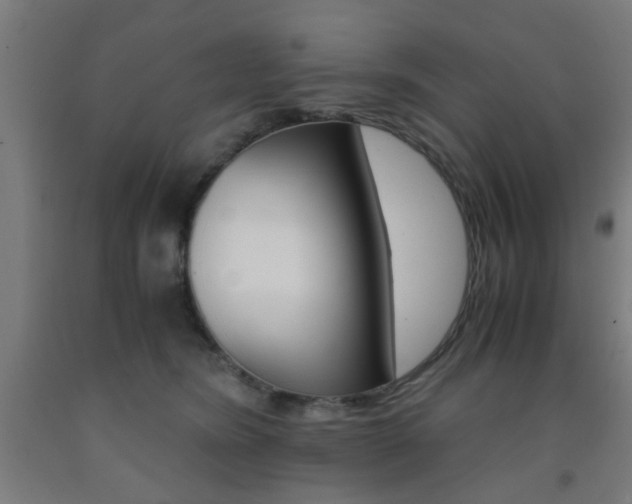 X0000093240420200709261534