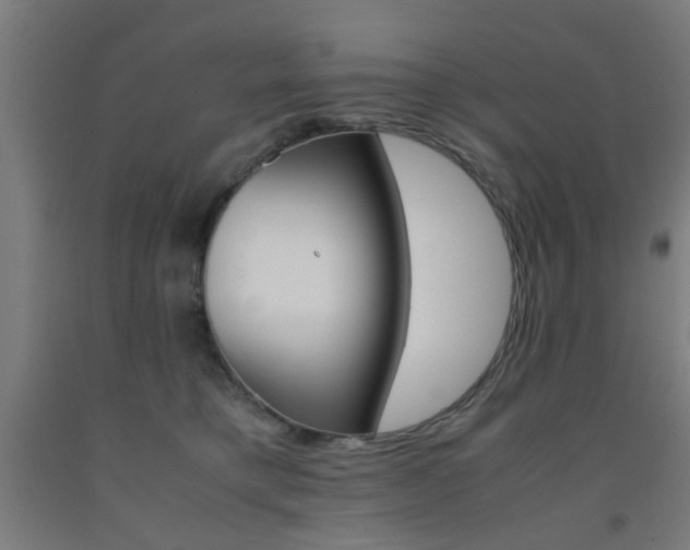 X0000093240421200709261534