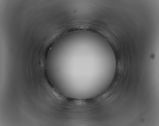 X0000093240424200709261534