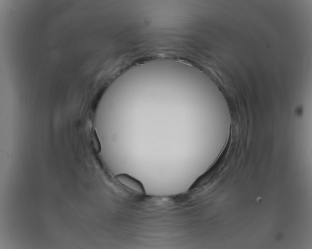 X0000093240427200709261534