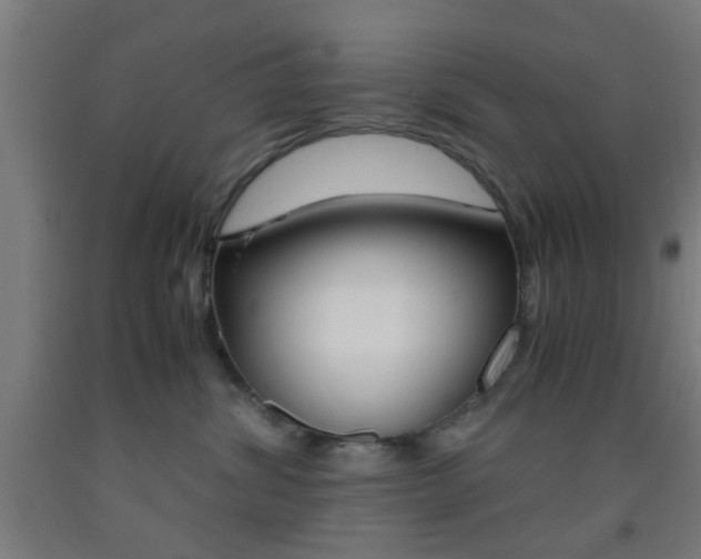 X0000093240428200709261534