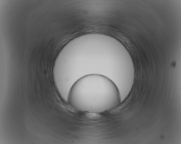 X0000093240429200709261534
