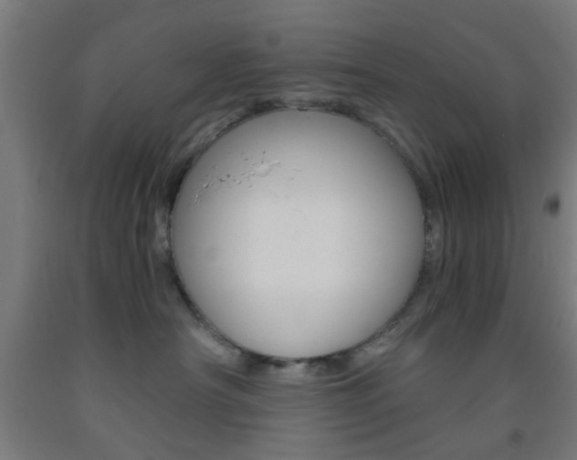 X0000093240430200709261534
