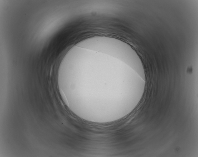 X0000093240431200709261534