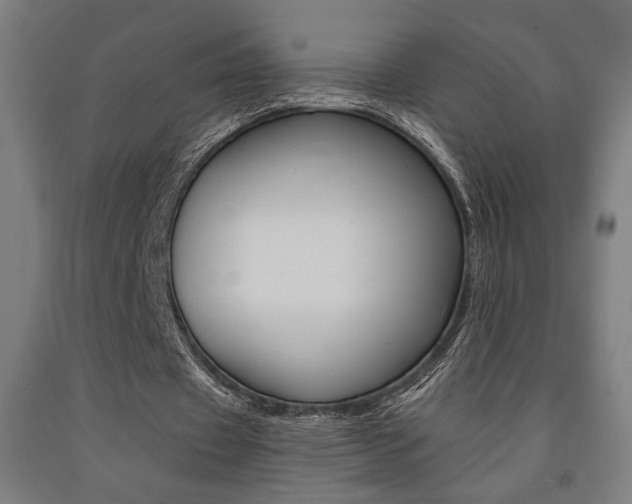 X0000093240433200709261533