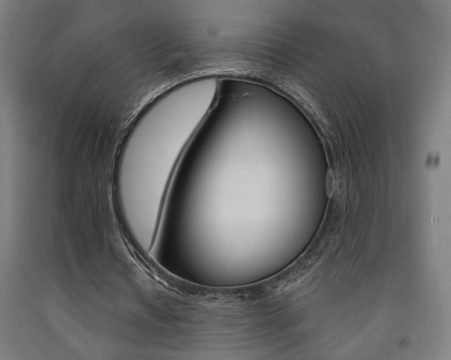 X0000093240434200709261533
