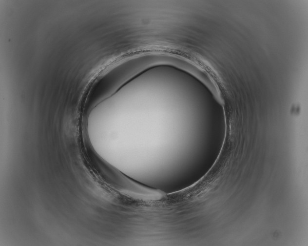 X0000093240436200709261533