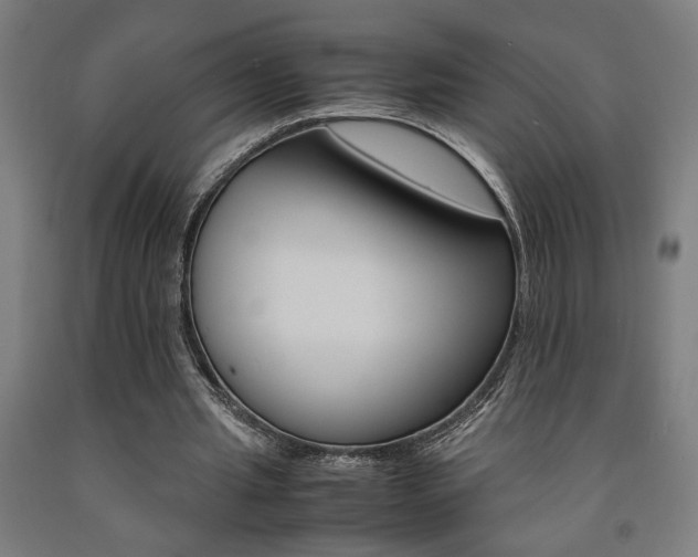 X0000093240437200709261533