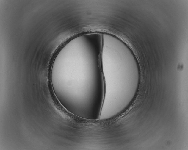 X0000093240438200709261533