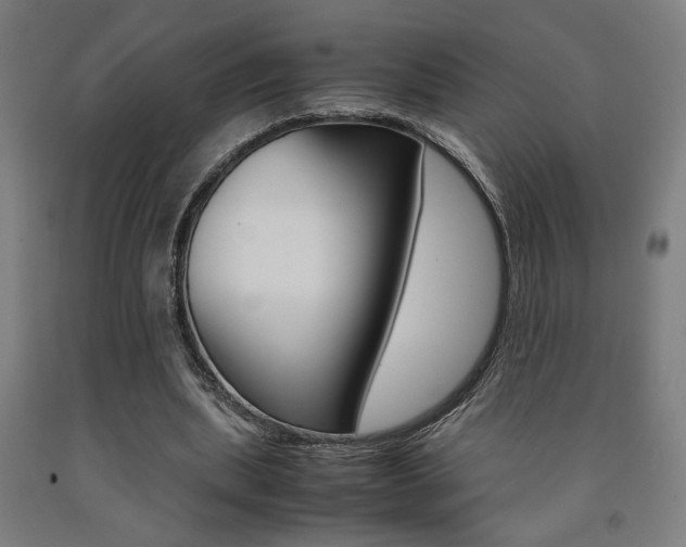 X0000093240439200709261533